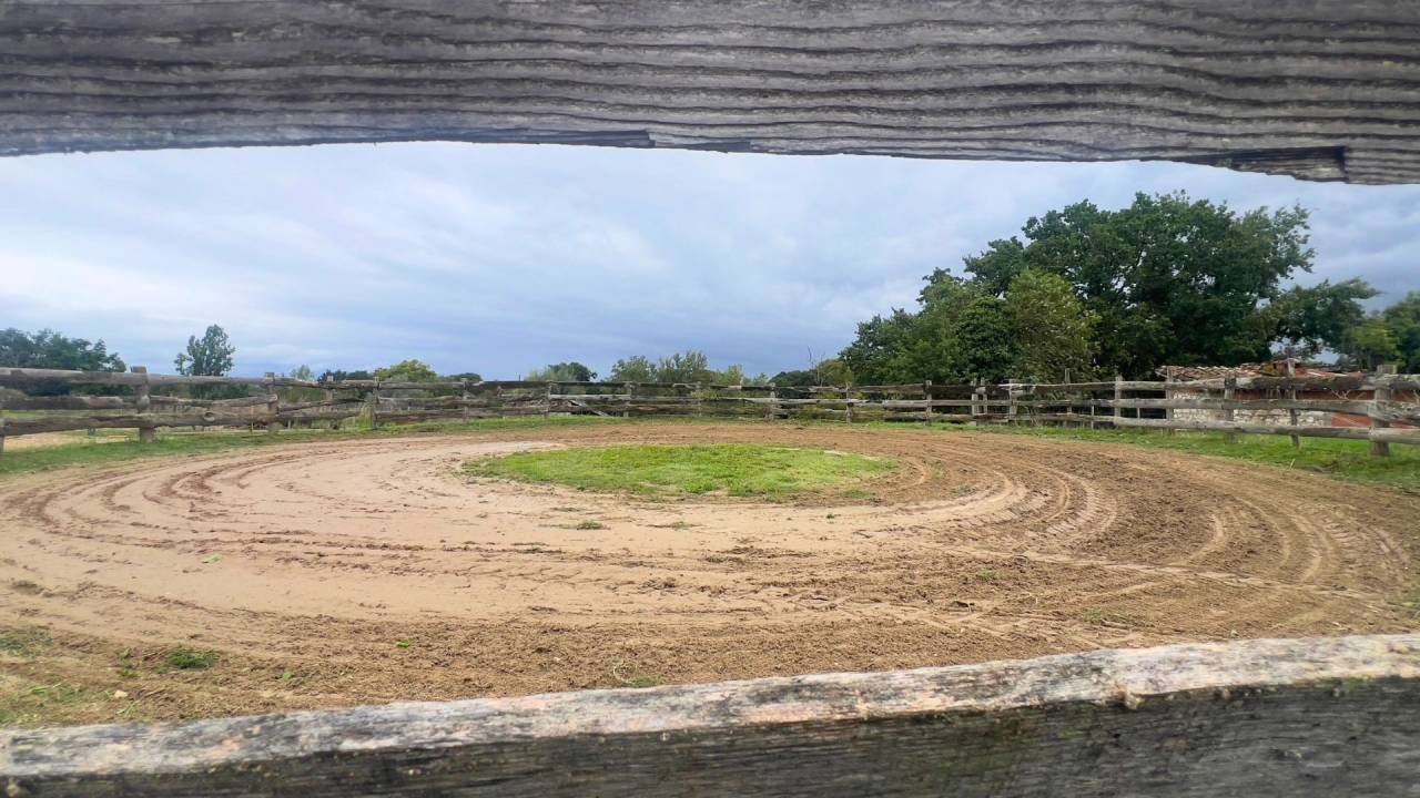 Tarn : vivez la passion équestre dans un cadre paisible