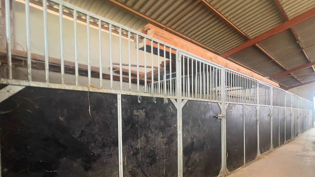 Tarn : vivez la passion équestre dans un cadre paisible