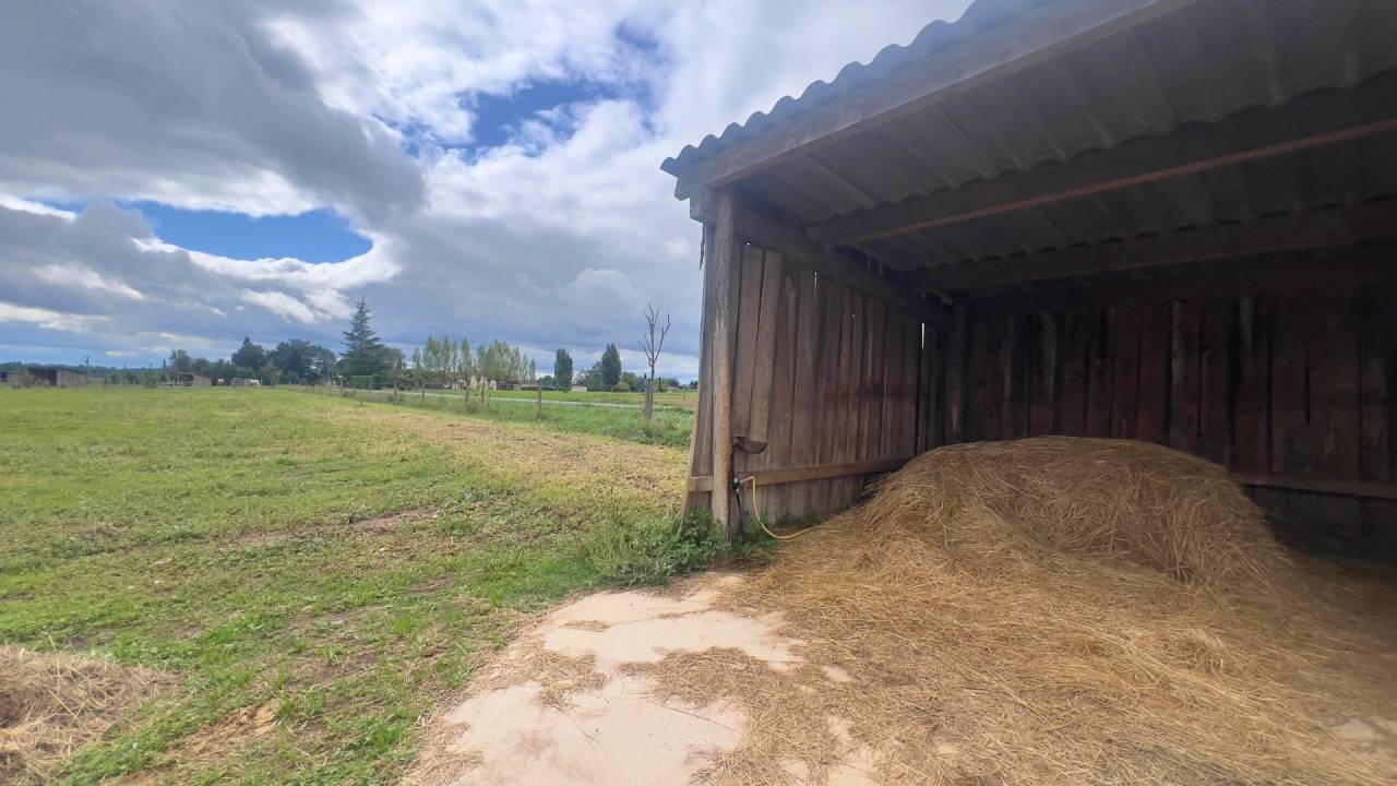 Tarn : vivez la passion équestre dans un cadre paisible