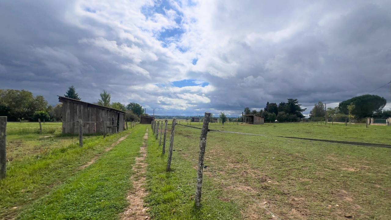 Tarn : vivez la passion équestre dans un cadre paisible