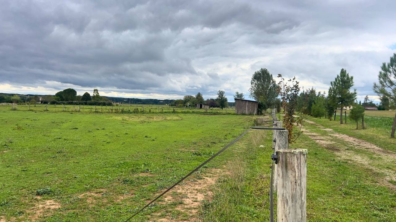 Tarn : vivez la passion équestre dans un cadre paisible