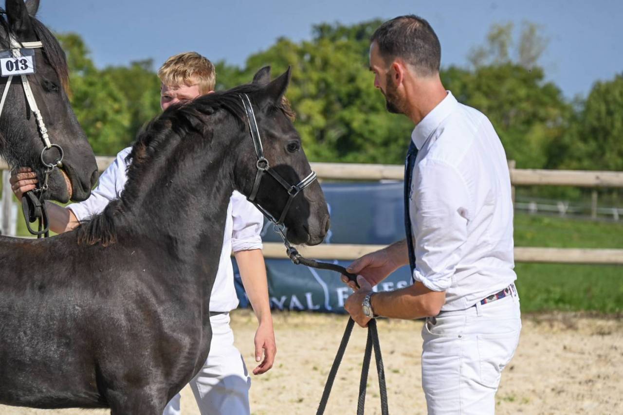 Fayleen Paige d’Ambène (Paige x Menso 542)