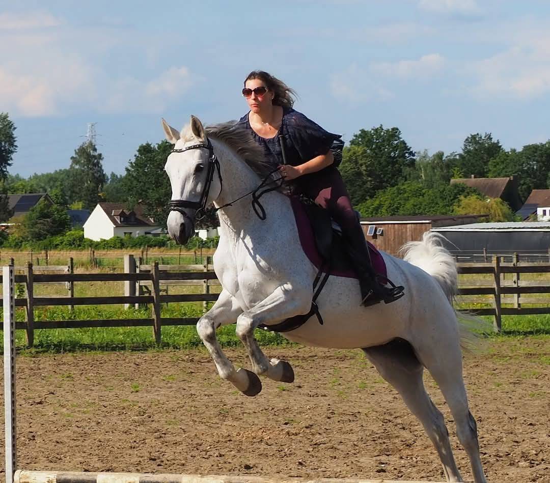 Cherche demi-pension - Chipita Biolley