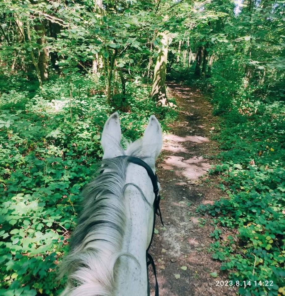 Cherche demi-pension - Chipita Biolley