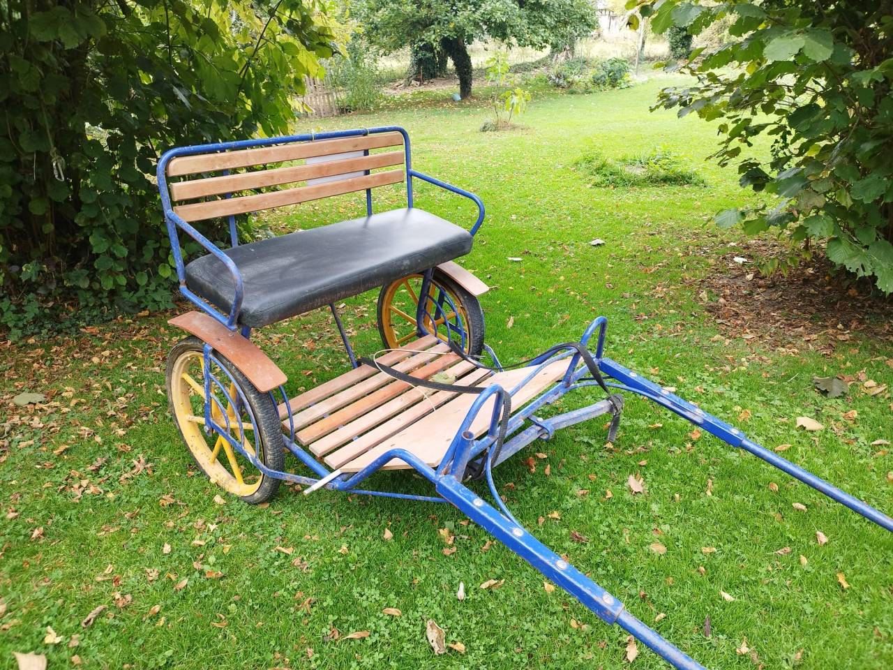 Voiture attelage âne ou poney 