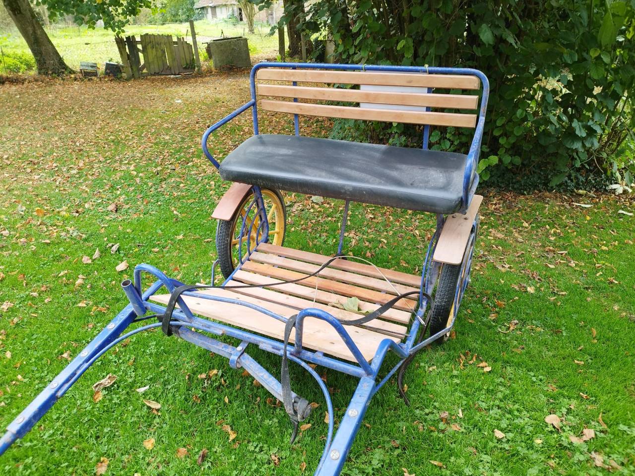 Voiture attelage âne ou poney 