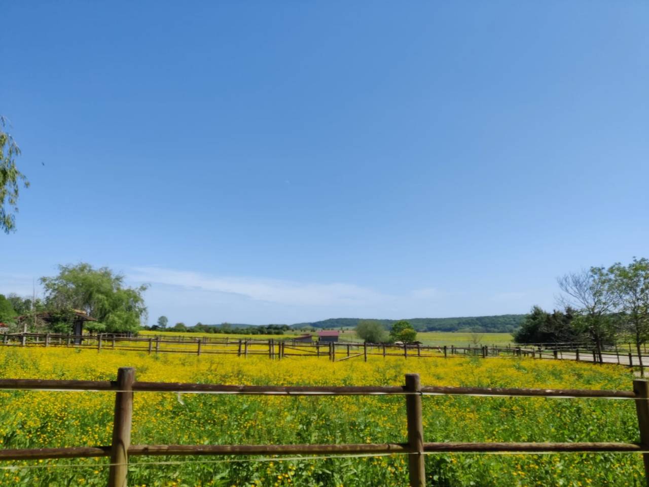 Conception Propriété équestre - Achat ou coopération  