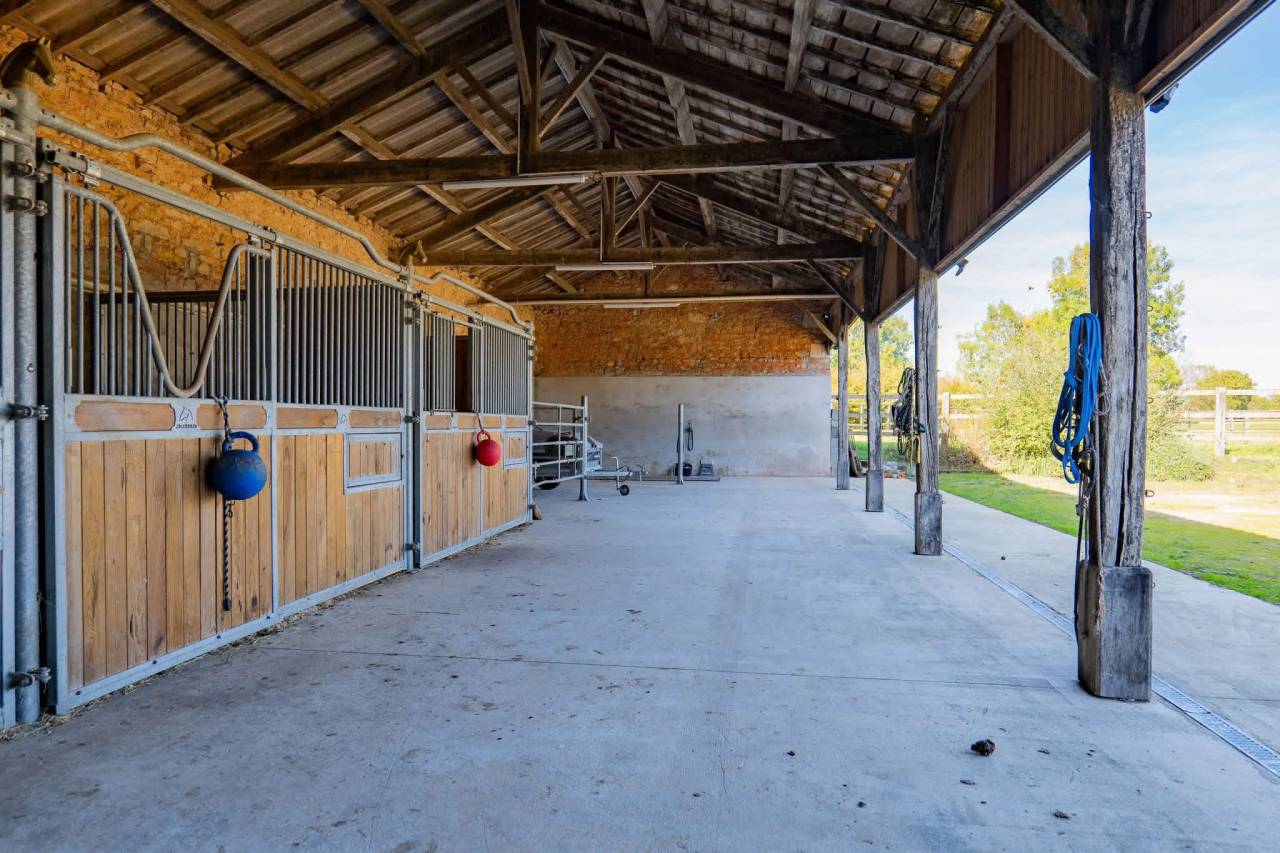 Charmante propriété équestre de 6ha (85)