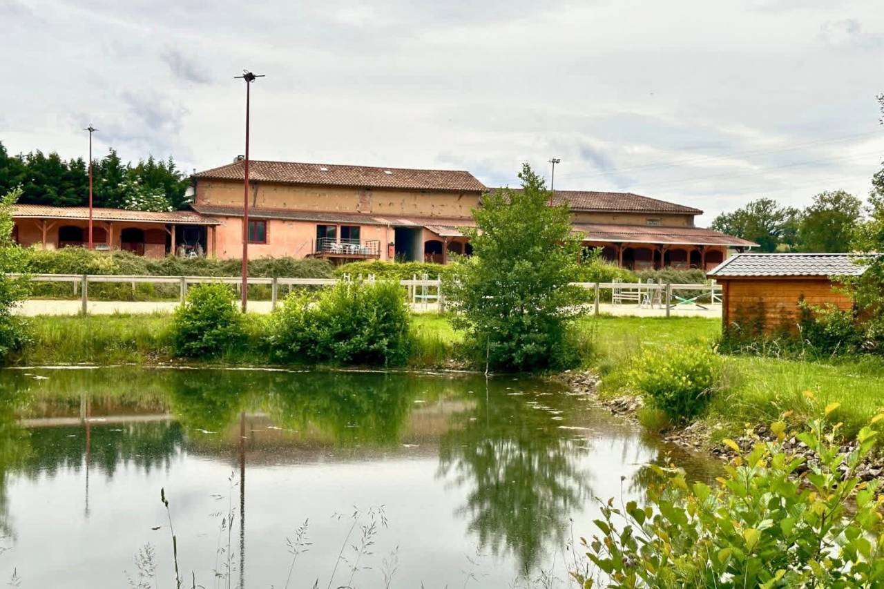 Propriété équestre clé en main de 4 hectares (01)