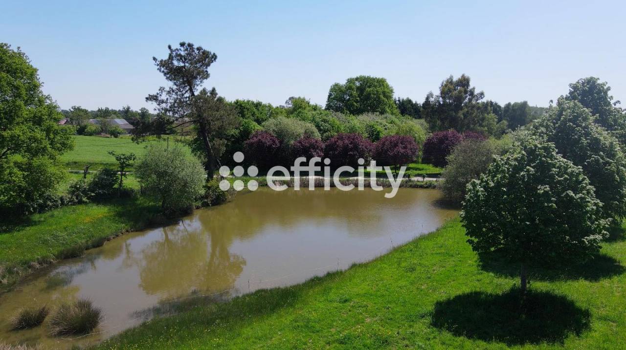 35450 - PROPRIETE EQUESTRE - 5 CH - 165 m² - 4 HA