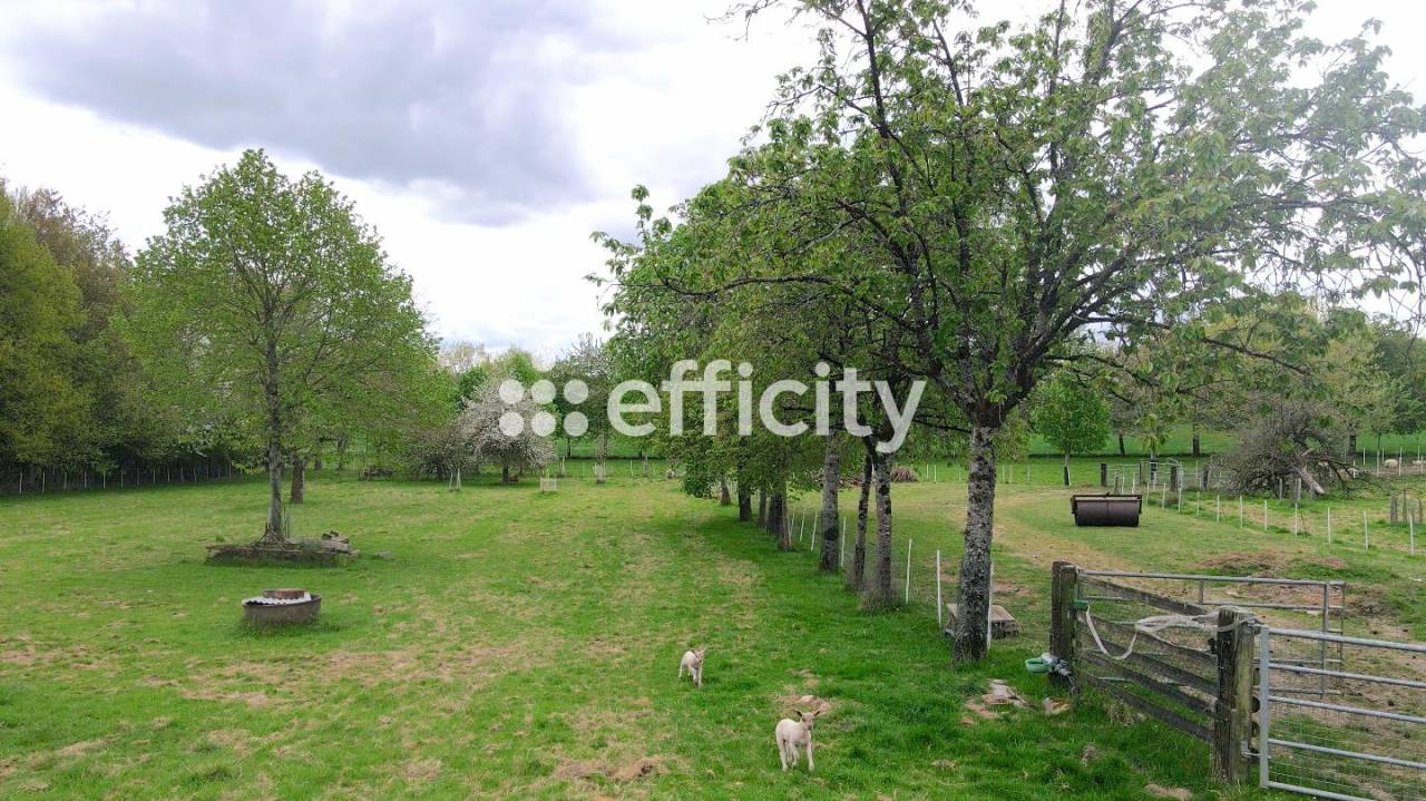 35450 - PROPRIETE EQUESTRE - 5 CH - 165 m² - 4 HA