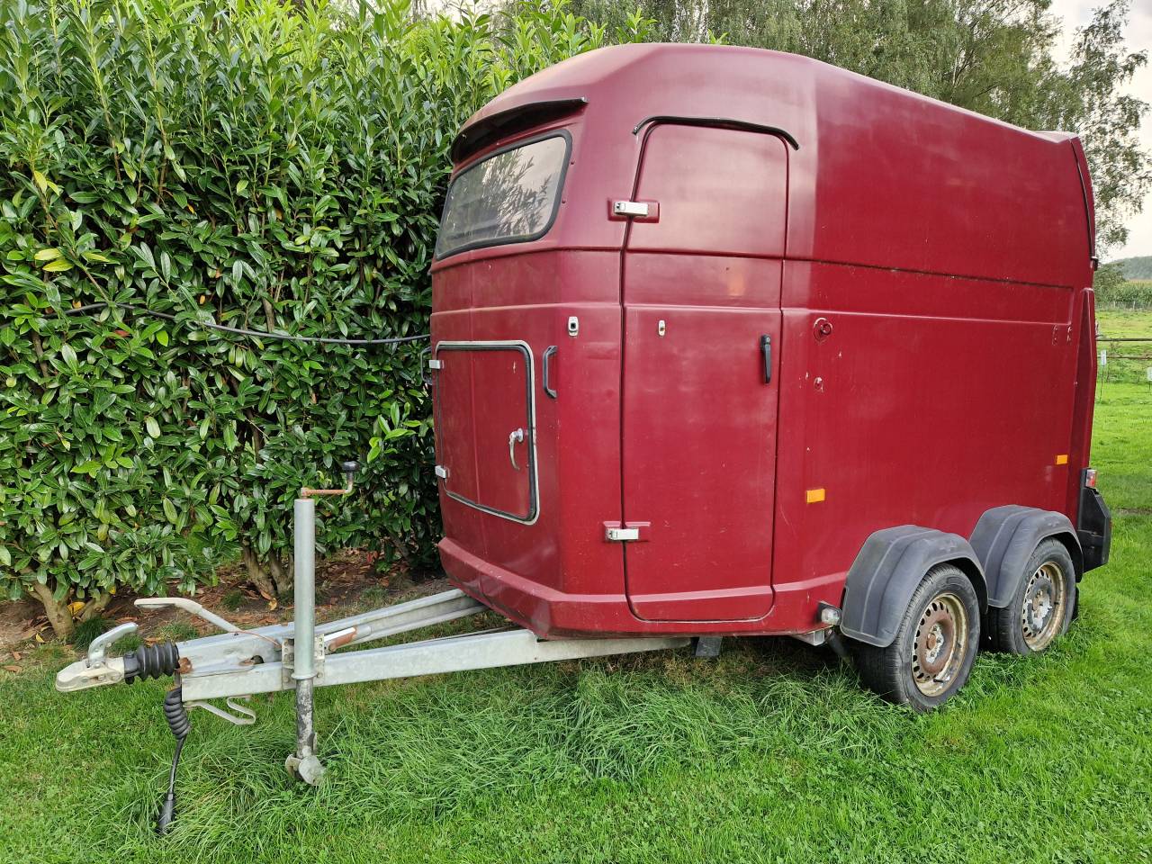 Van Westfalia 2 chevaux 