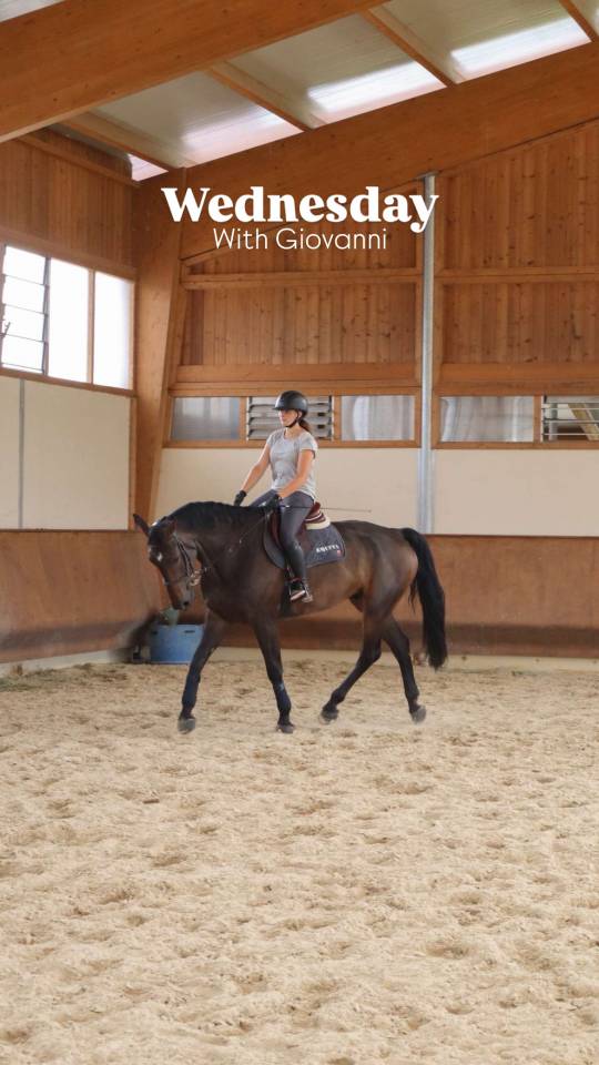 Travail du cheval - Bourg en bresse et les alentours