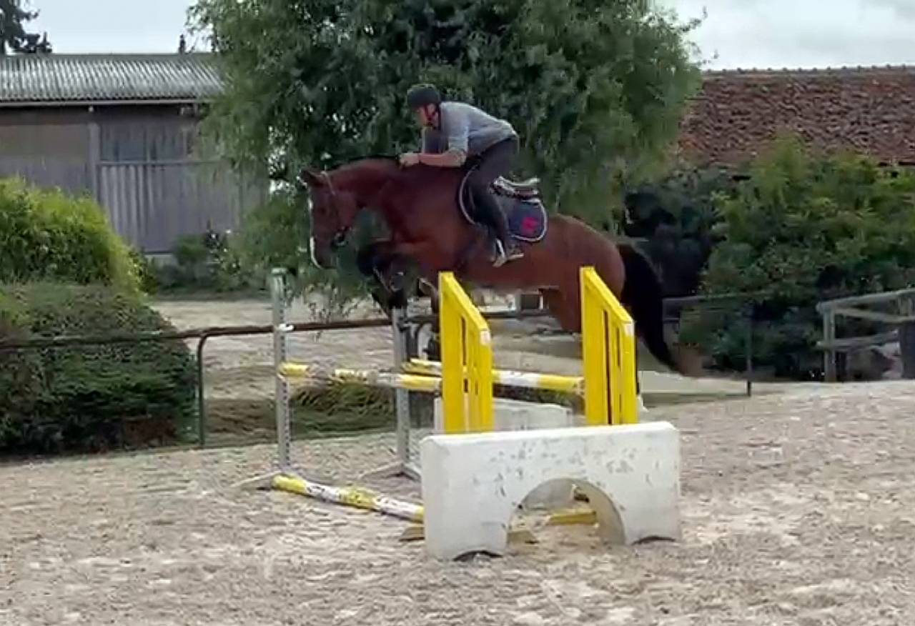 Chic SF 4 ans - 1,69m - Top origines - Style et moyens 