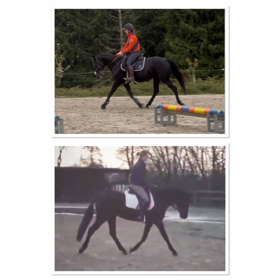 Ponette de sport 148 cm 6 ans ONC