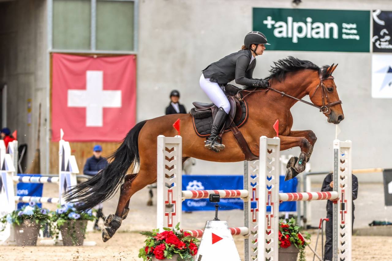 Super cheval CSO, Chevalier du Priolet, SF
