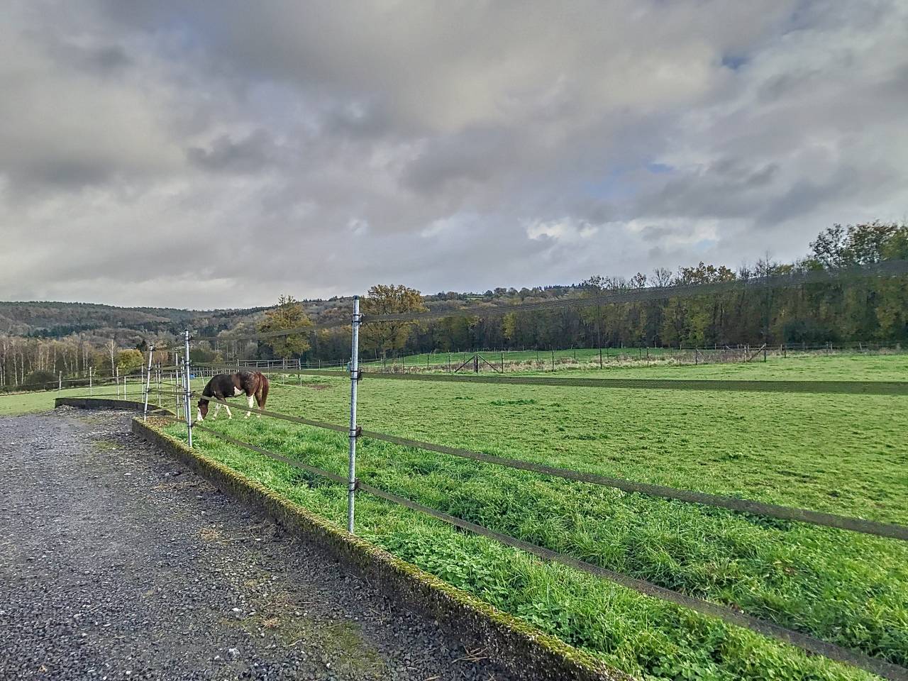 Propriété équestre 90 000m²