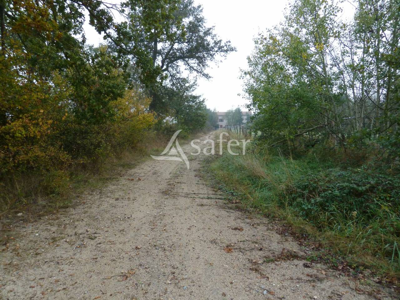 Structure équestre sur 1,32 ha