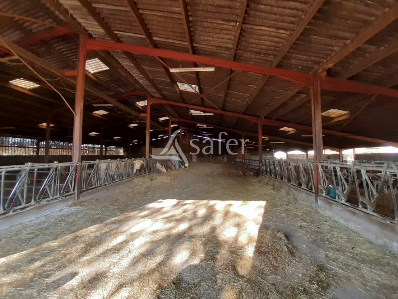 Batiments d'exploitation sur 144 ha