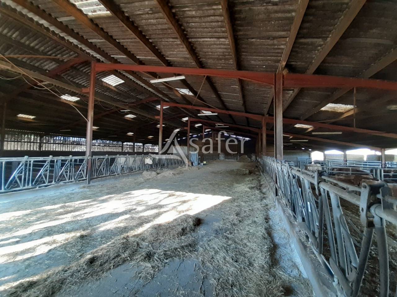 Batiments d'exploitation sur 144 ha