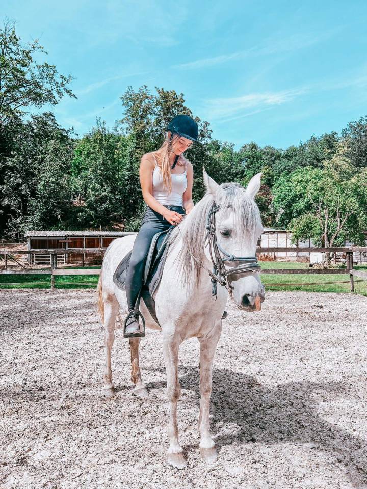 Jument pur sang arabe 