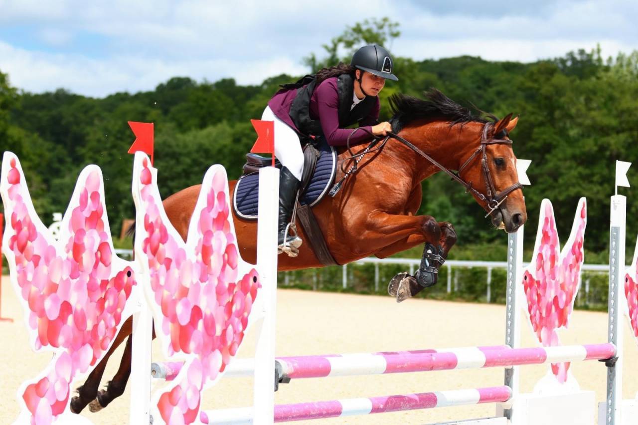 JUMENT JANIFRANE LUTH 6 ANS