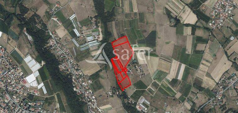 CORPS DE FERME - THURINS