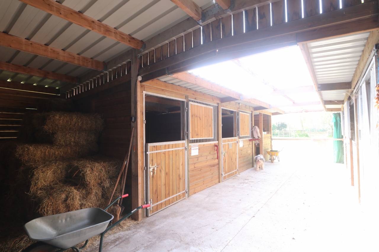 gites équestre bord de mer