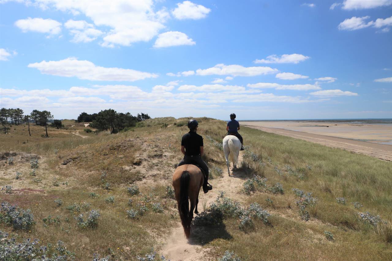 gites équestre bord de mer