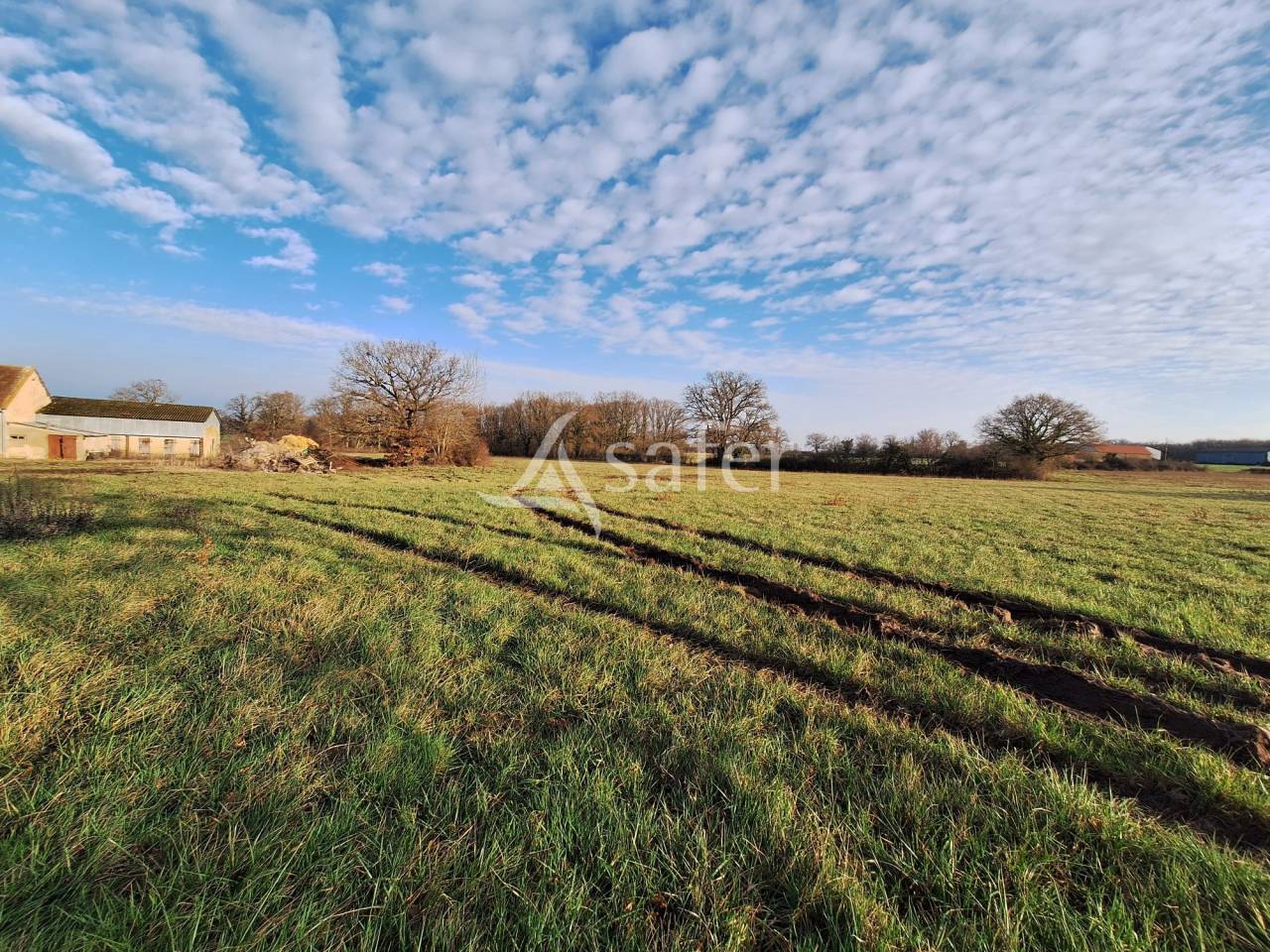 Corps de bâtiments sur 8 ha