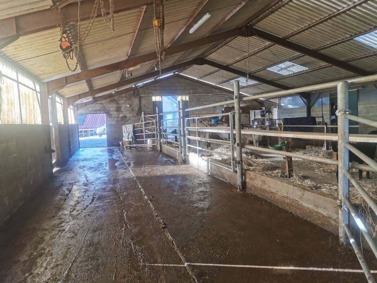 Propri&eacute;t&eacute; &eacute;questre sur 17 ha &ndash; 18 (cher) 