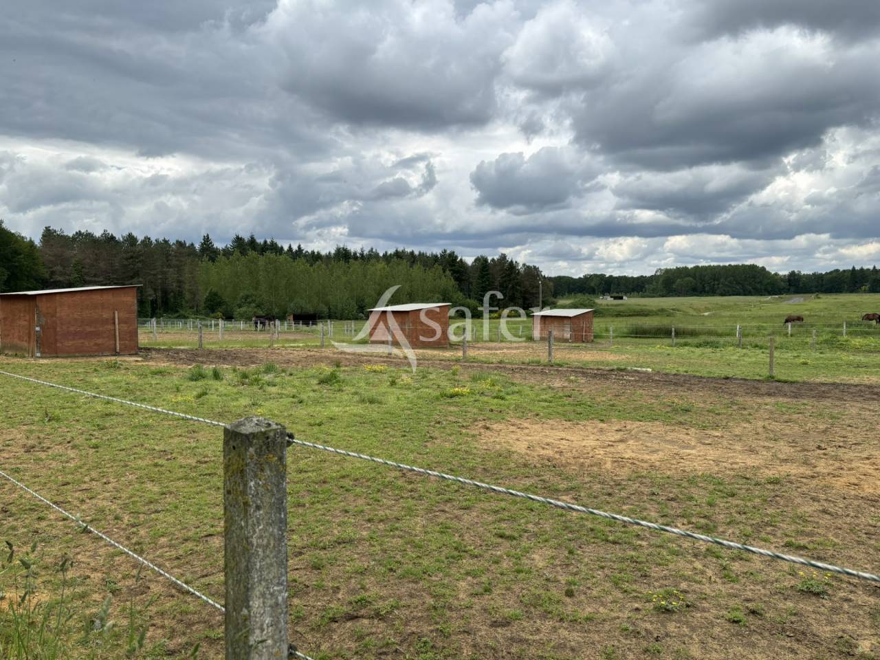 CENTRE D'ENTRAINEMENT TROTTEURS - 36ha groupés