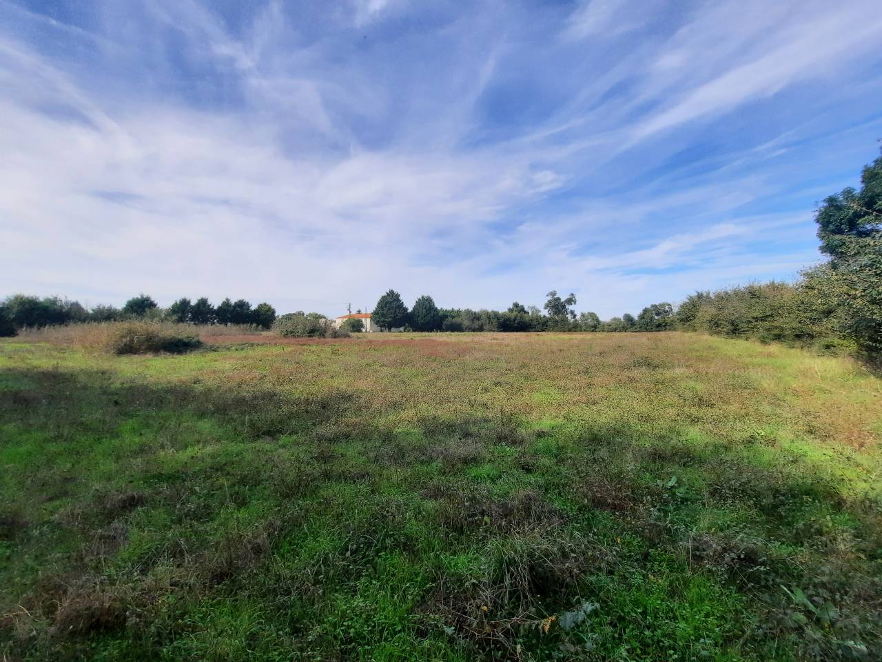 Propriété à vocation équestre à 15 mn de LA ROCHELLE