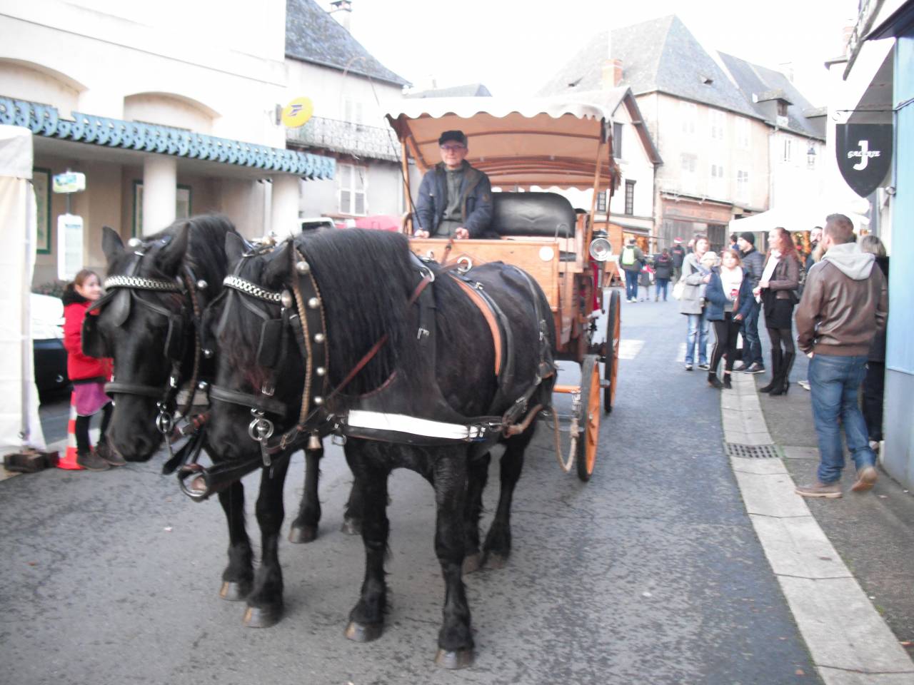 Deux chevaux hongres Mérens et calèche