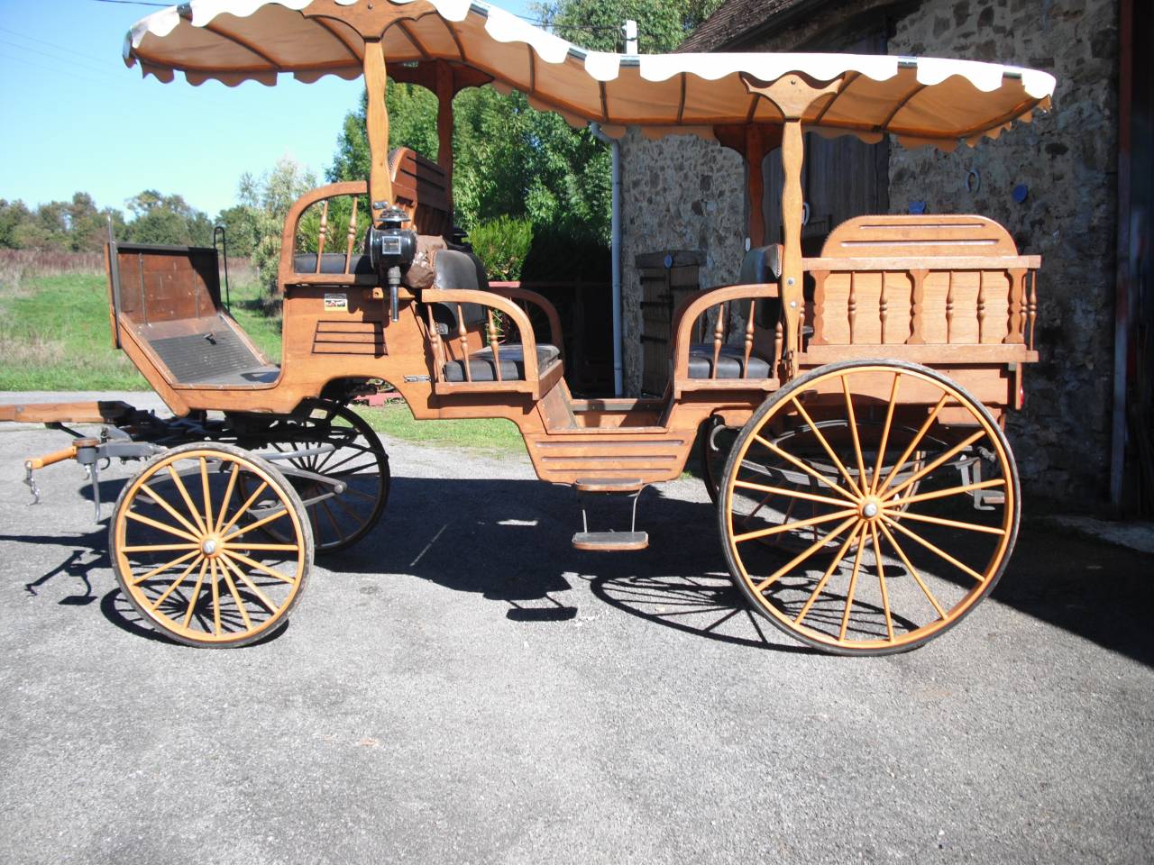 Deux chevaux hongres Mérens et calèche