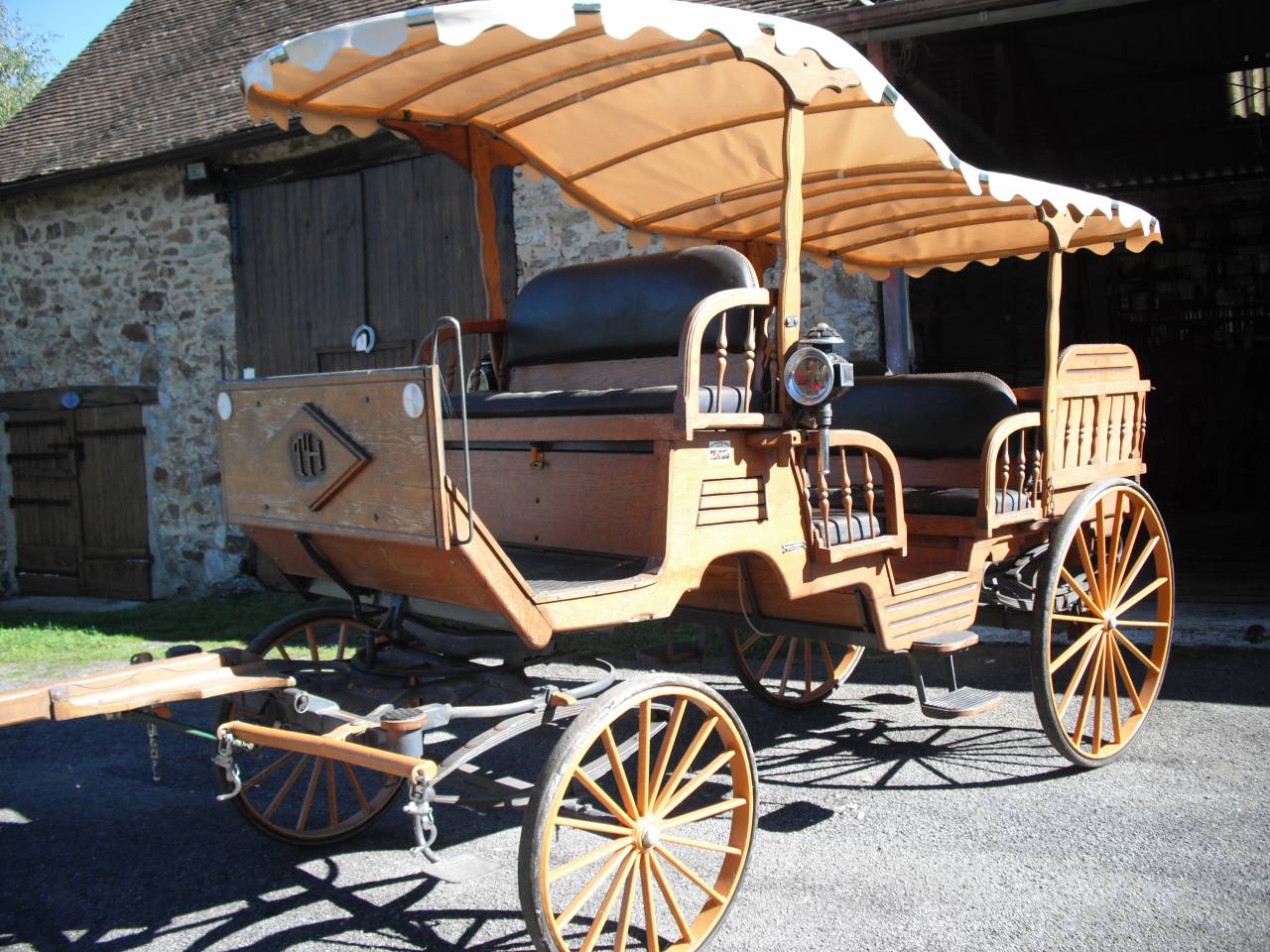 Deux chevaux hongres Mérens et calèche