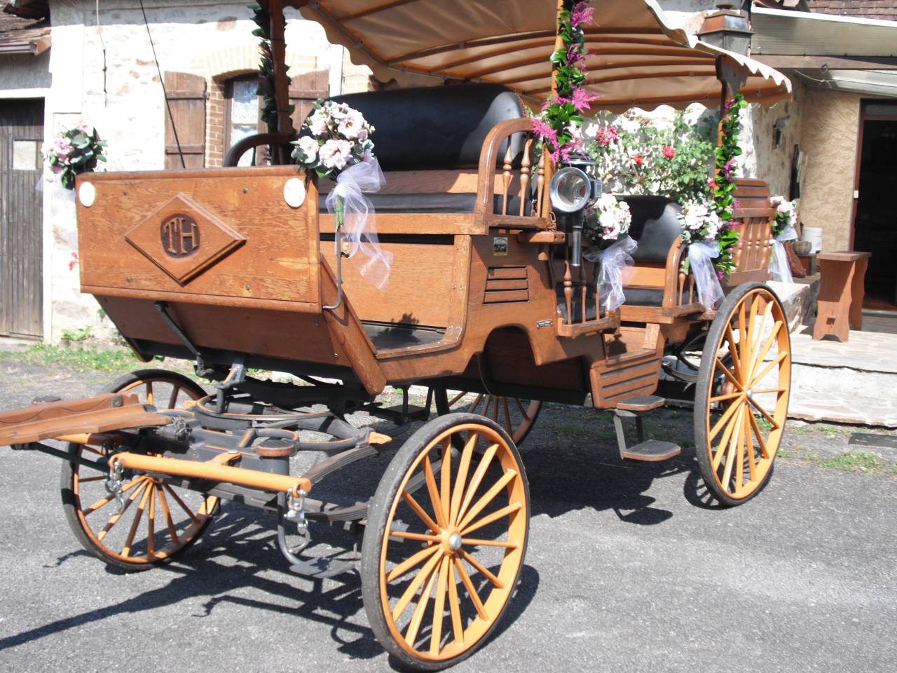 Deux chevaux hongres Mérens et calèche