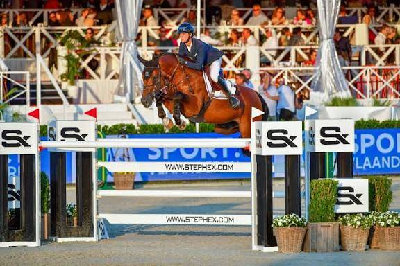 Juments idéal pour l’élevage!