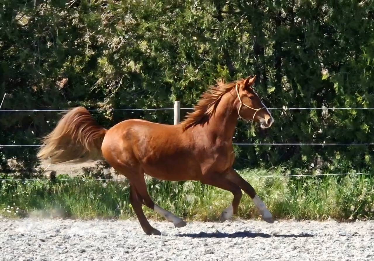 2ans avec un mental de guerrier