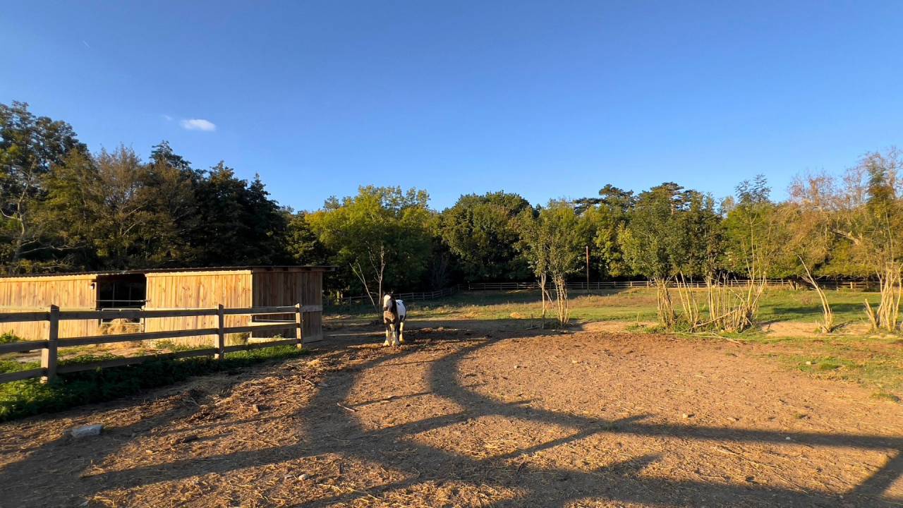 Propruété équestre d'exception - Haute-Garonne (31)