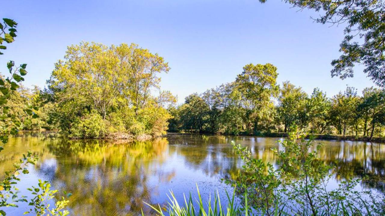 Propruété équestre d'exception - Haute-Garonne (31)