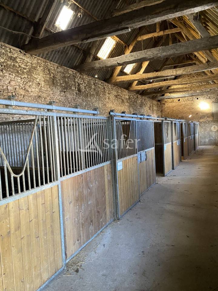 Propri&eacute;t&eacute; &eacute;questre, secteur Argentan (61)