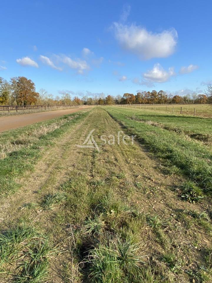 Propri&eacute;t&eacute; &eacute;questre, secteur Argentan (61)