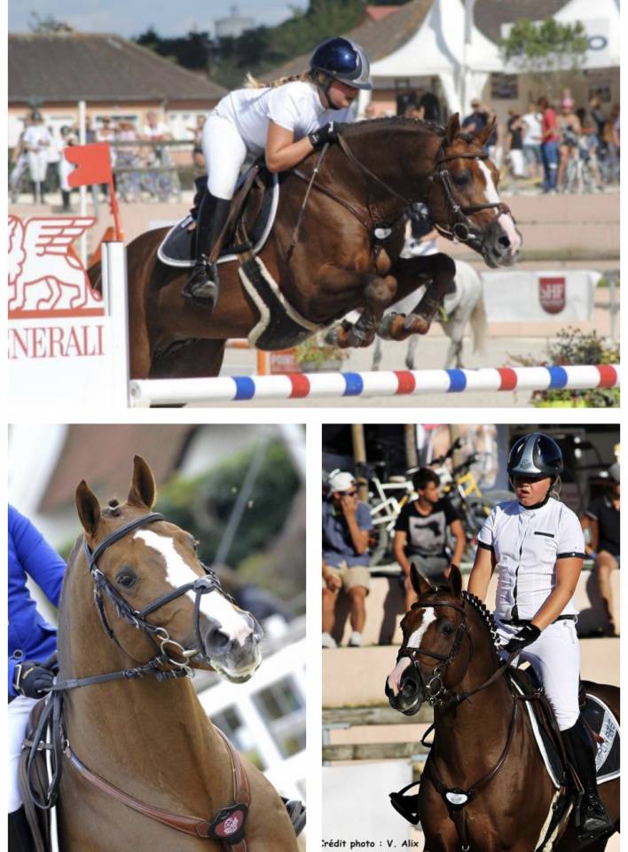 Pouliche sport/loisir OC - Top origines