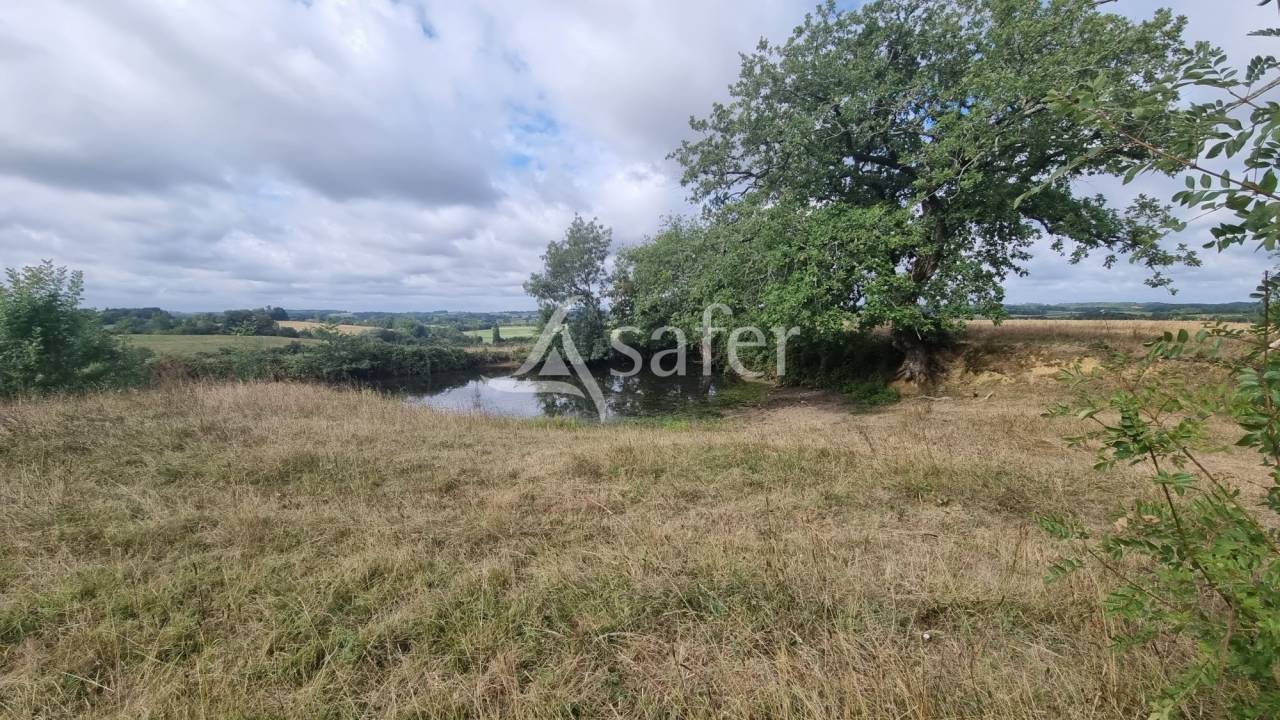 Propri&eacute;t&eacute; de 61ha entre Vic-Fezensac et Eauze