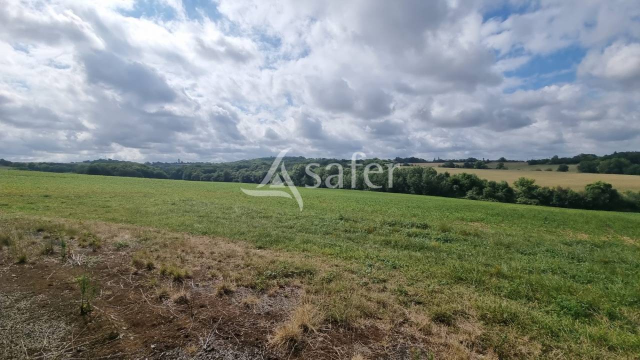 Propri&eacute;t&eacute; de 61ha entre Vic-Fezensac et Eauze