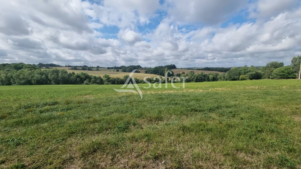 Propri&eacute;t&eacute; de 61ha entre Vic-Fezensac et Eauze