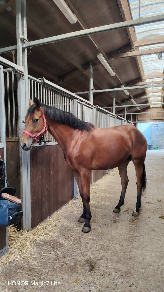 Jolie pouliche 3 ans sf 