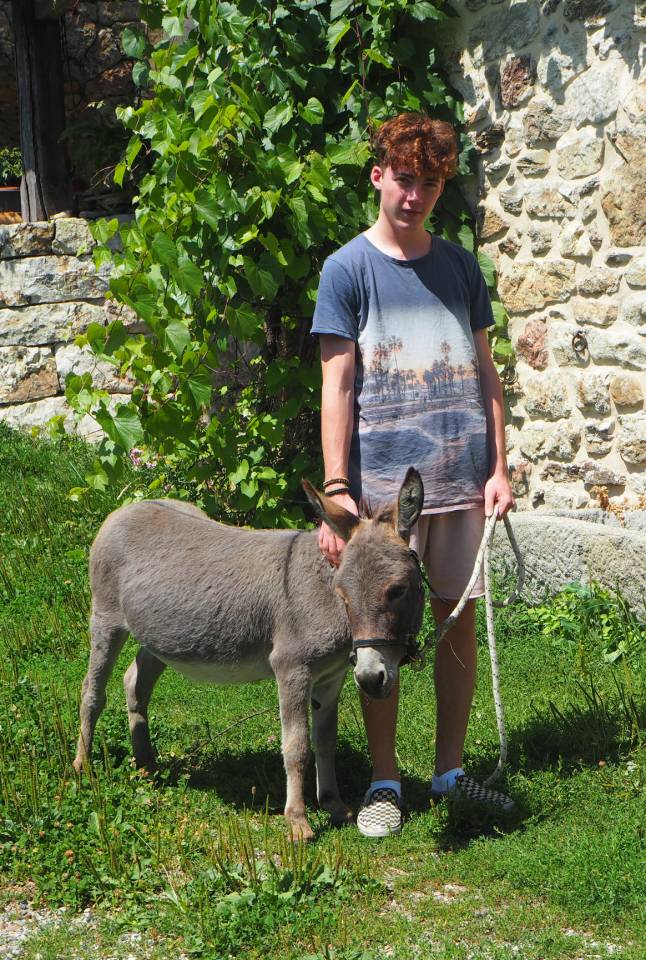 troupeau Anes SARDES et MINIATURE 