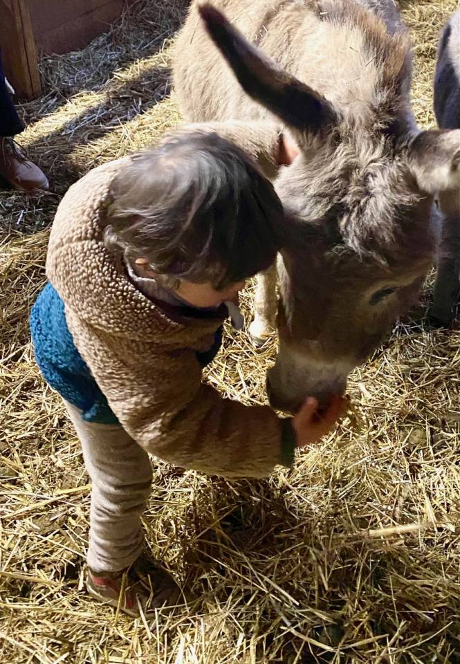 Anes SARDES et miniatures MEDIATION et compagnie